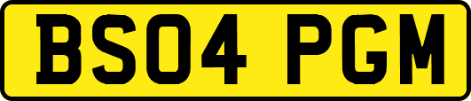 BS04PGM