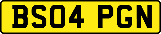 BS04PGN