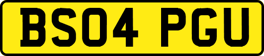 BS04PGU