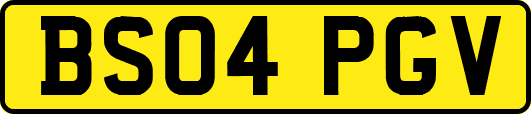BS04PGV