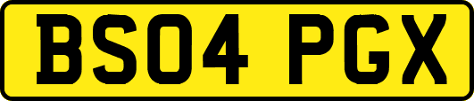 BS04PGX