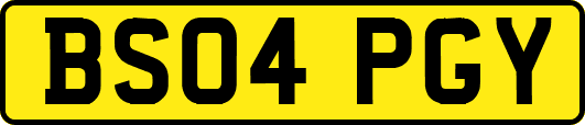 BS04PGY