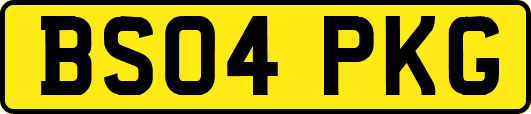 BS04PKG