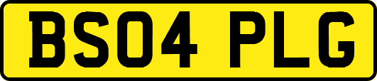BS04PLG