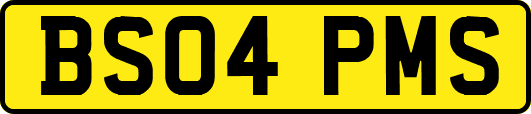 BS04PMS