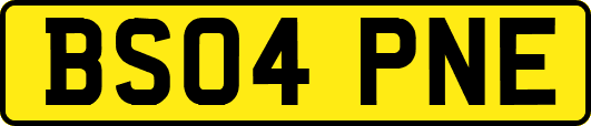 BS04PNE