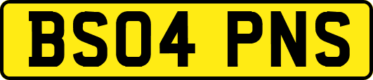 BS04PNS