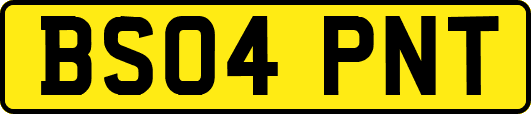 BS04PNT
