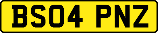 BS04PNZ
