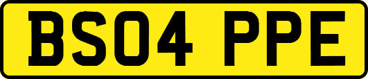 BS04PPE