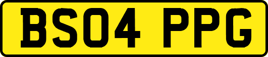 BS04PPG