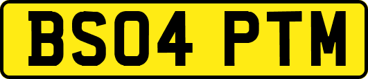 BS04PTM