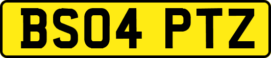 BS04PTZ