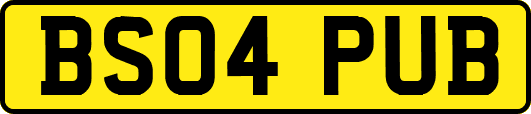 BS04PUB