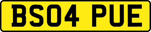 BS04PUE