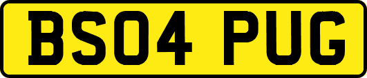 BS04PUG