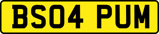 BS04PUM