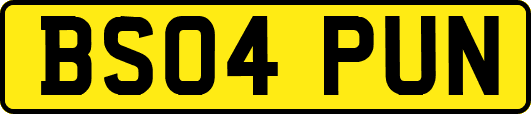 BS04PUN