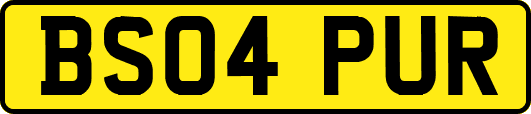 BS04PUR