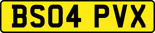 BS04PVX
