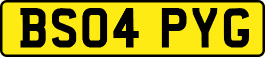 BS04PYG