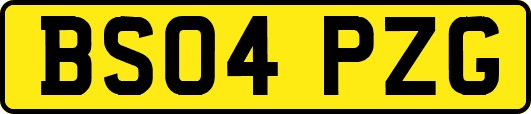 BS04PZG