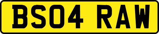 BS04RAW