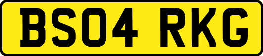 BS04RKG