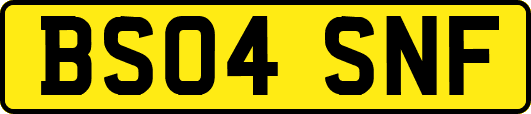 BS04SNF
