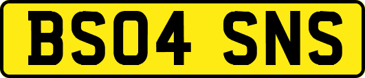 BS04SNS