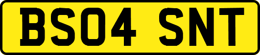BS04SNT