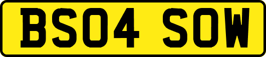 BS04SOW