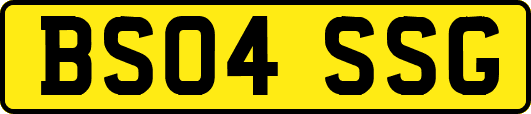 BS04SSG