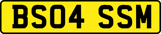 BS04SSM