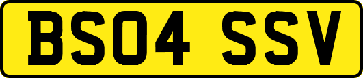 BS04SSV