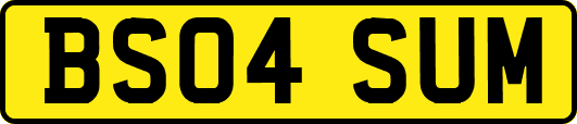 BS04SUM