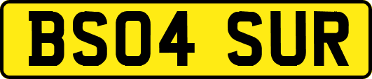 BS04SUR