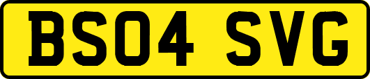 BS04SVG