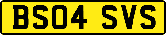BS04SVS