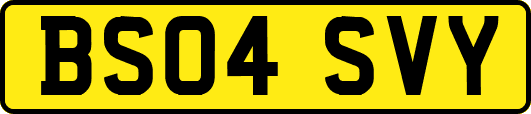 BS04SVY