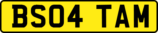 BS04TAM