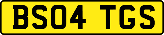 BS04TGS