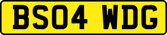 BS04WDG