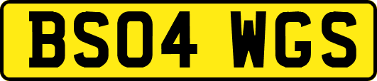 BS04WGS