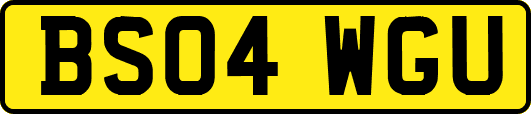 BS04WGU