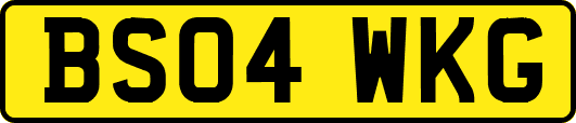 BS04WKG
