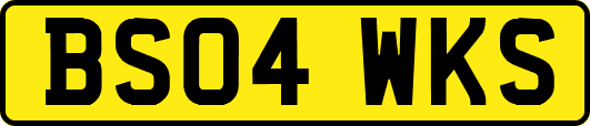 BS04WKS