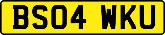BS04WKU