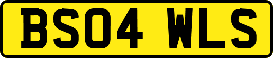 BS04WLS