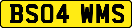 BS04WMS